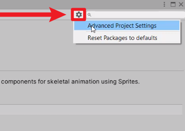 Advanced Project Settings selected from gear icon